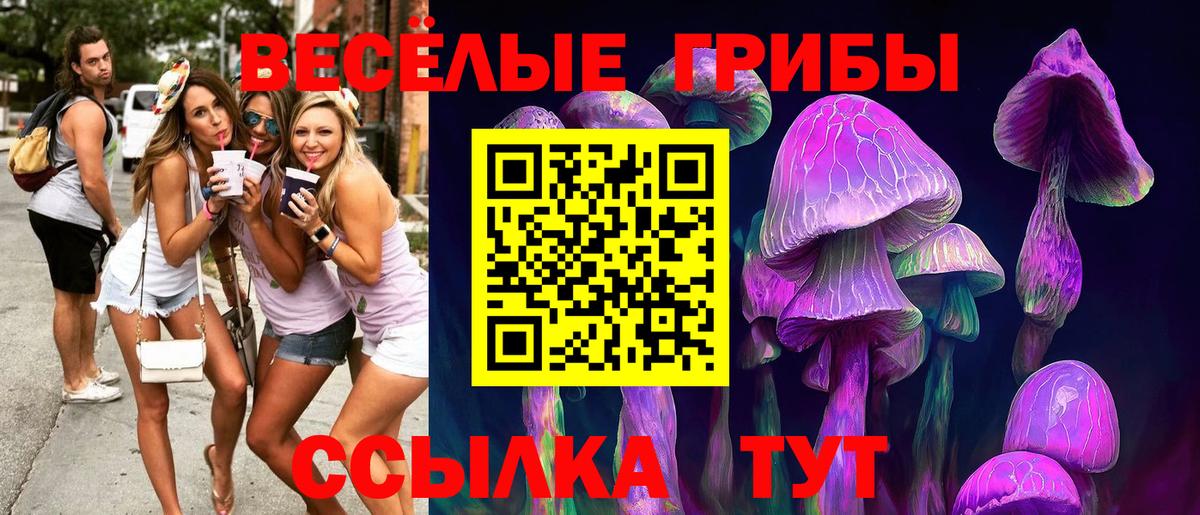 Магадан  Псилоцибиновые грибы GOLDEN TEACHER  Вход с VPN  Галлюциногенные грибы Psilocybine cubensis 